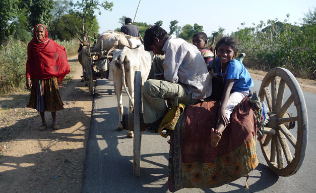 nomadic traveling by bulluck cart