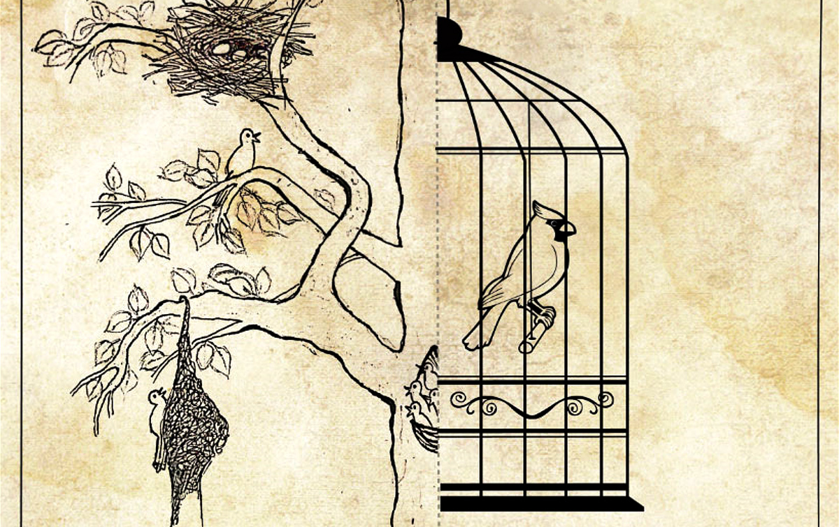 Common vs Uncommon sense – Why individuality matters?