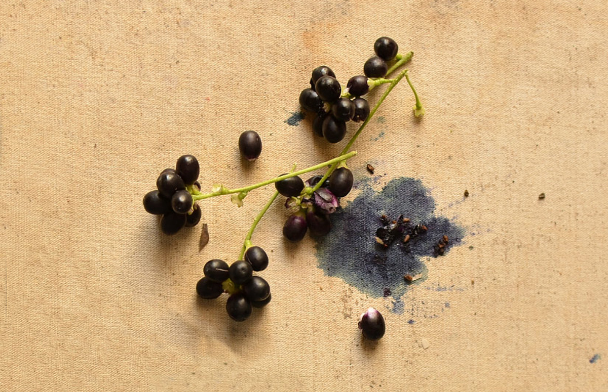 The History of Ink: How Humans Learned to Write Across 5000 Years