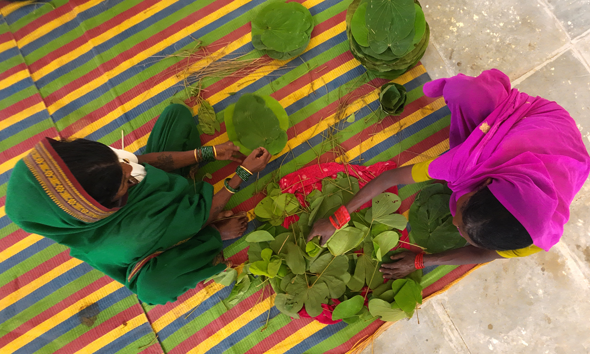 Indian Village Life: A Journey into Nature’s Classroom