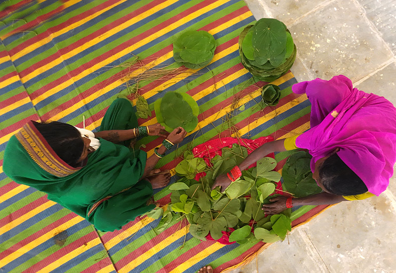 A Journey into Nature’s Classroom: Living Sustainability