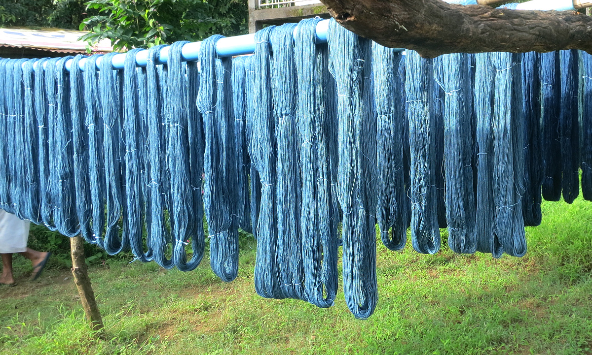 From Soil to Soul: Indigo dye in india