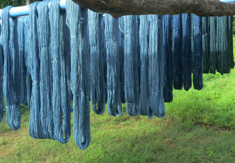 From Soil to Soul: Indigo in India