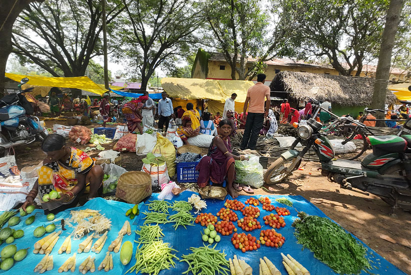 Order in Chaos ~ Indian Haat Bazaar