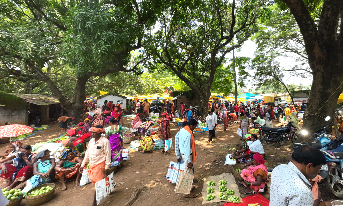 Order in Chaos ~ Indian Haat Bazaar