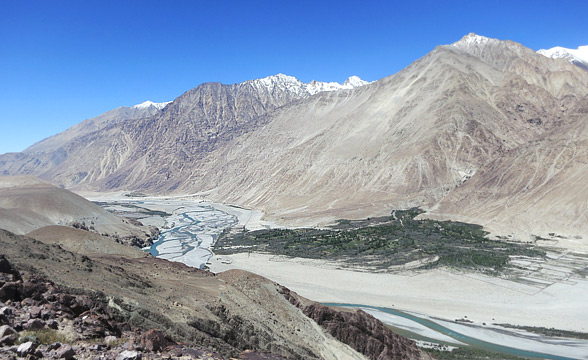 laddakh-pashmina-area