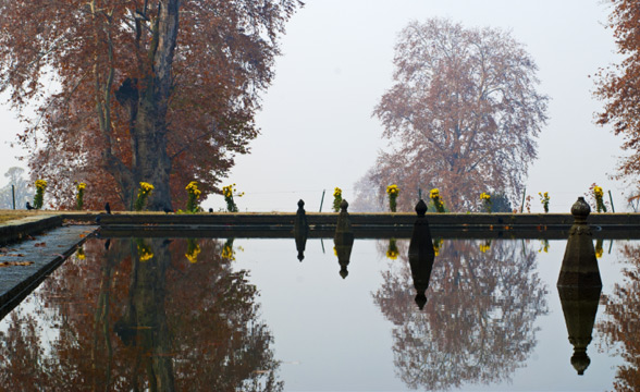 mugal-garden-srinagar-kashmir