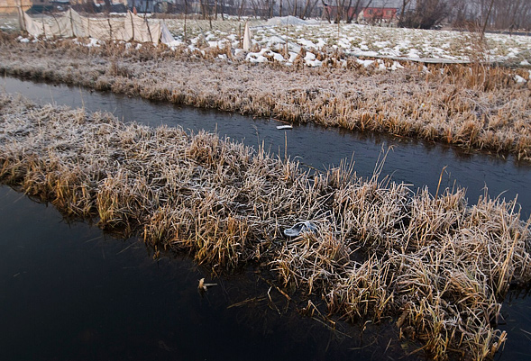 srinagar-floating-garden