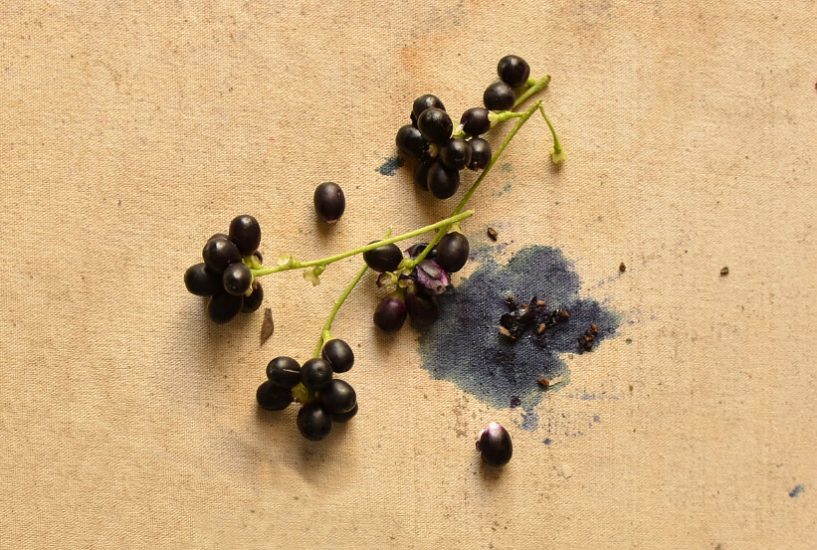 Black Grape - Industry Ink