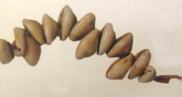 shells bead Harappa