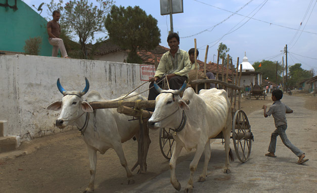 Indian village cart