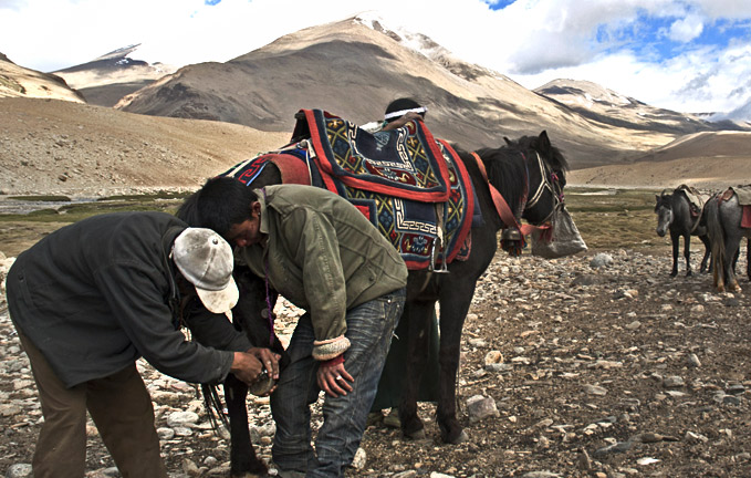 Nomadic-pastoral-tribe-of-Himalaya