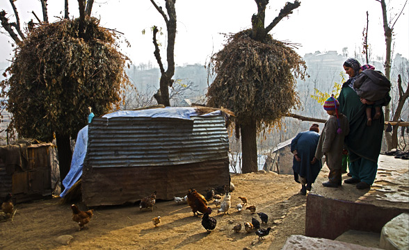 kashmir-life